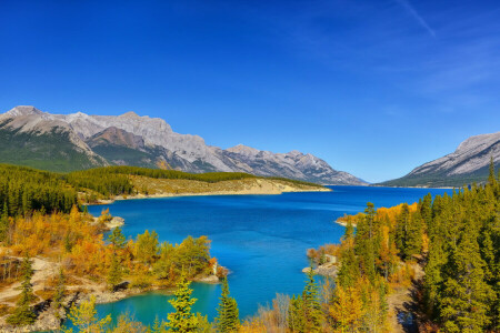 autunno, foresta, lago, montagne, il cielo, alberi