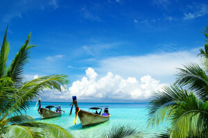 boats, branches, clouds, horizon, palm trees, sea, shore, Tropics