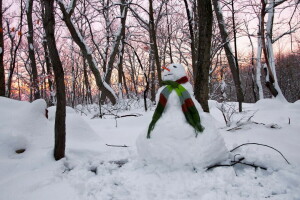 monigote de nieve, puesta de sol, invierno