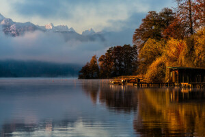 podzim, Krásná, jezero, krajina, stromy