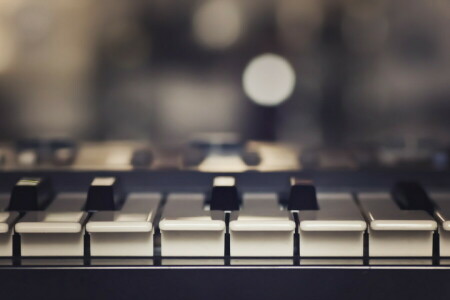 macro, Musica, pianoforte