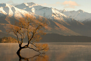 lago, montañas, nieve, el cielo, árbol