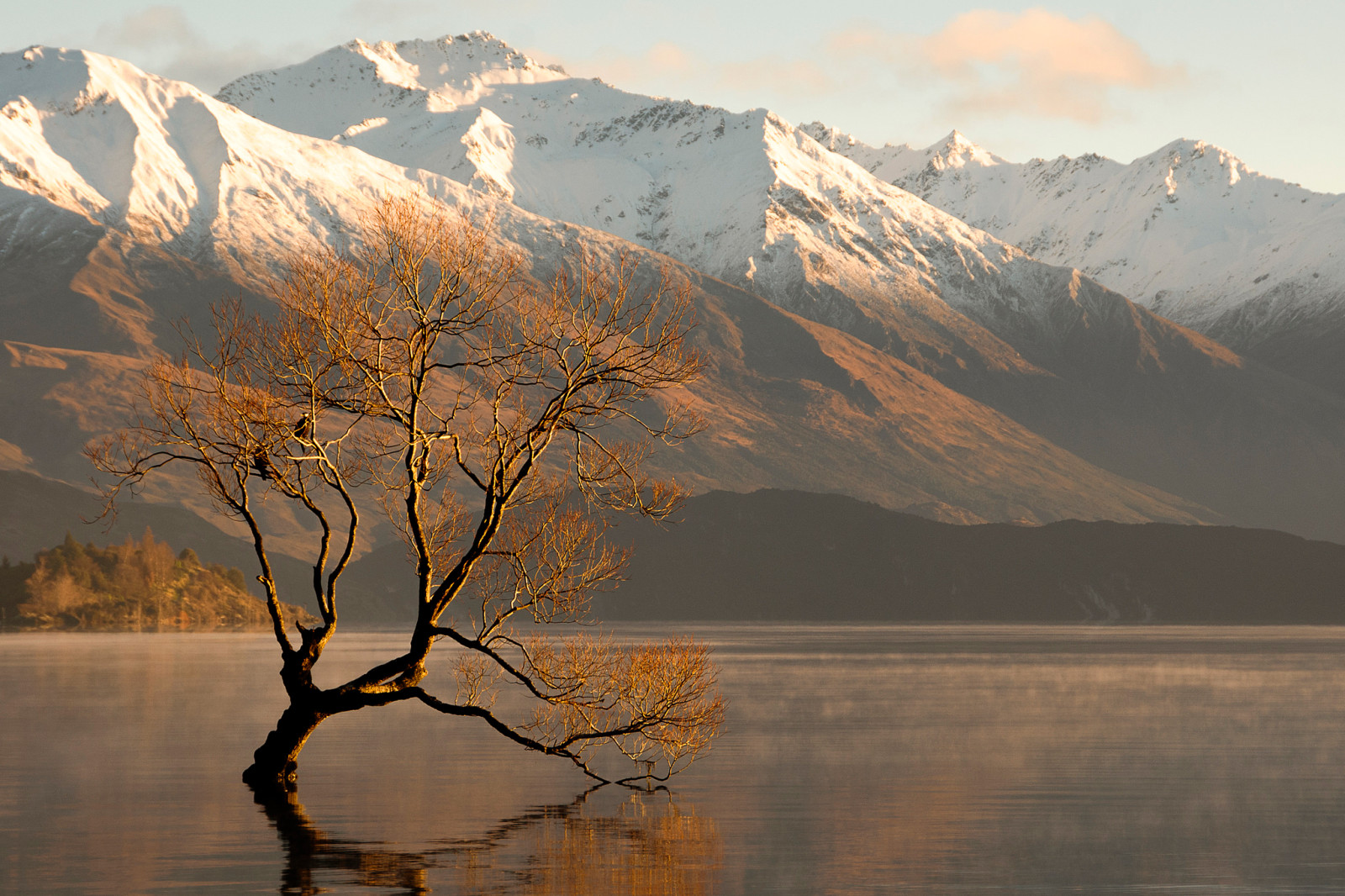 nieve, árbol, el cielo, lago, montañas