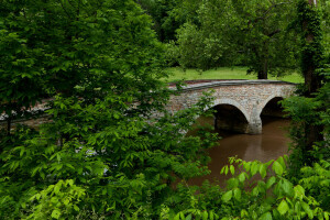 Puente, bosque, paisaje, Maryland, Parque, río, arboles, Estados Unidos