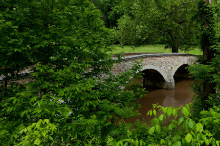 Ponte, floresta, panorama, Maryland, Parque, rio, árvores, EUA