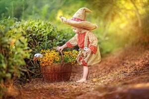 basket, boy, Childhood, costume, flowers, goose, hat, tale