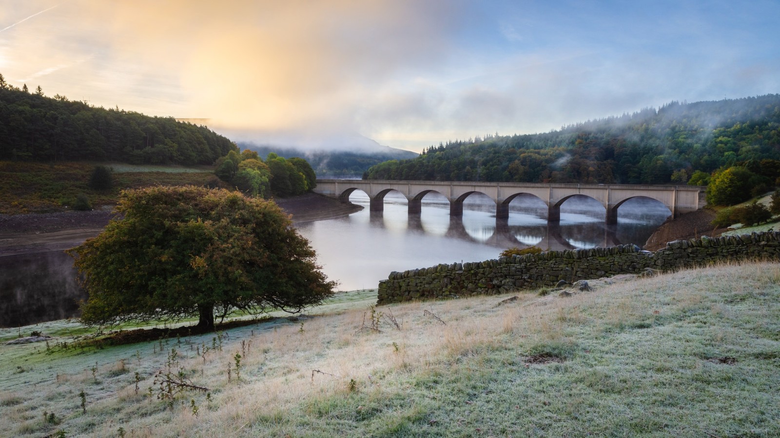 tree, autumn, forest, grass, the sky, river, landscape, shore