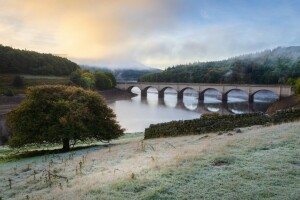 Bogen, gewölbt, Herbst, Brücke, Wolken, Nebel, Wald, Frost