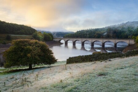 arch, arched, autumn, Bridge, clouds, fog, forest, frost