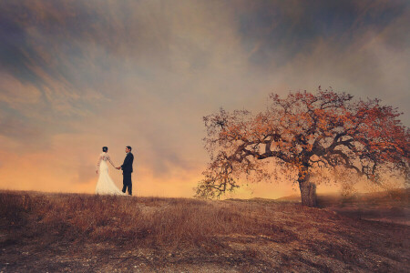 field, pair, the bride, the groom, the sky, tree, wedding dress