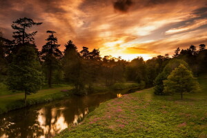 rivière, été, le coucher du soleil