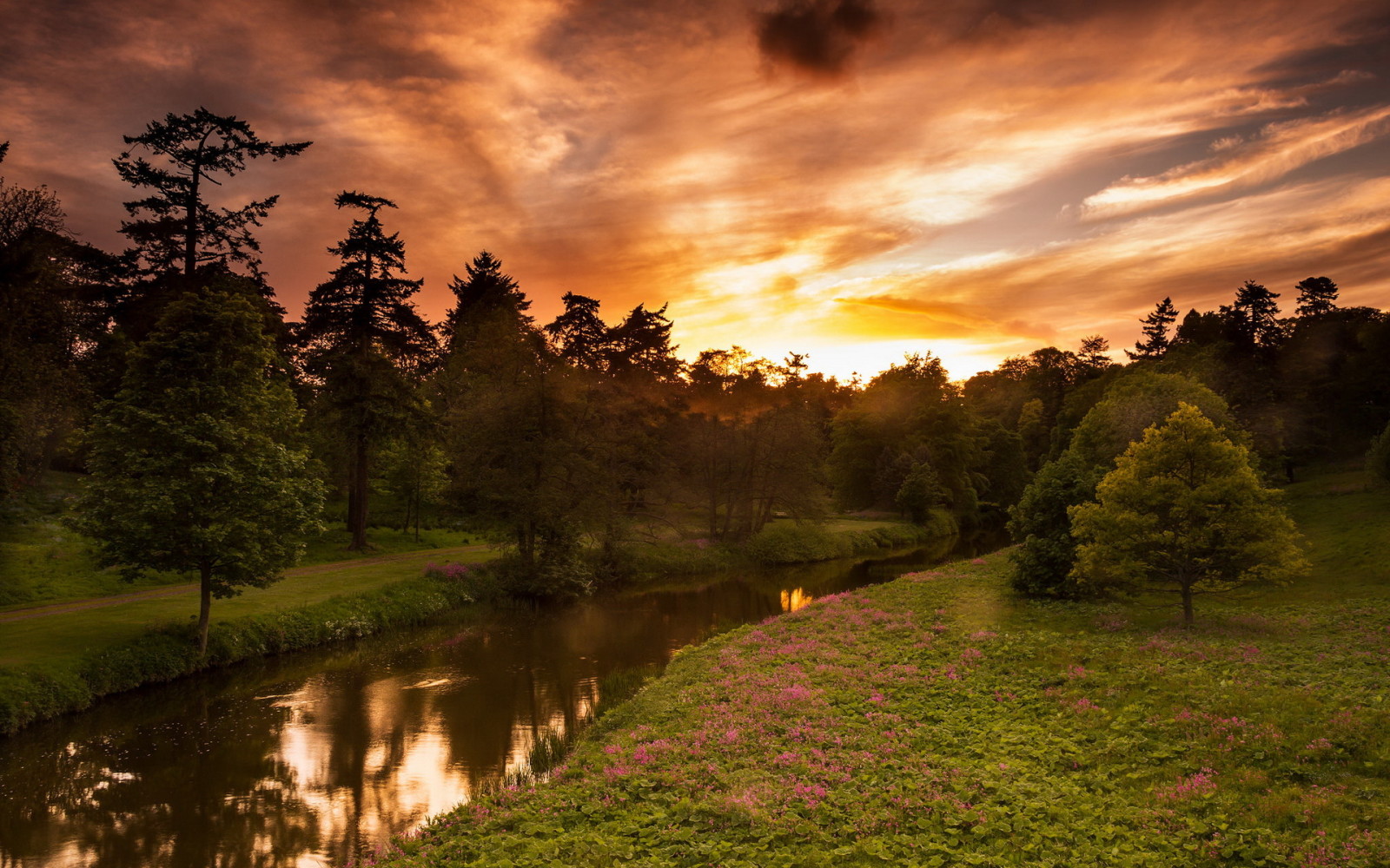 estate, fiume, tramonto