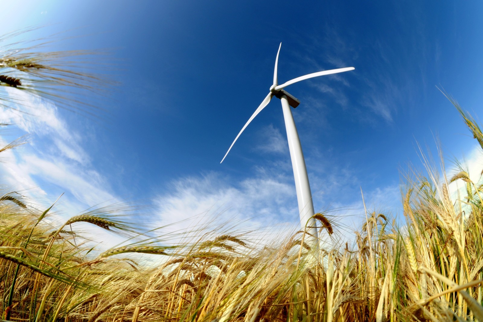 campo, viento, energía, poder, turbina eólica