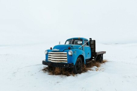 field, Machine, truck, winter