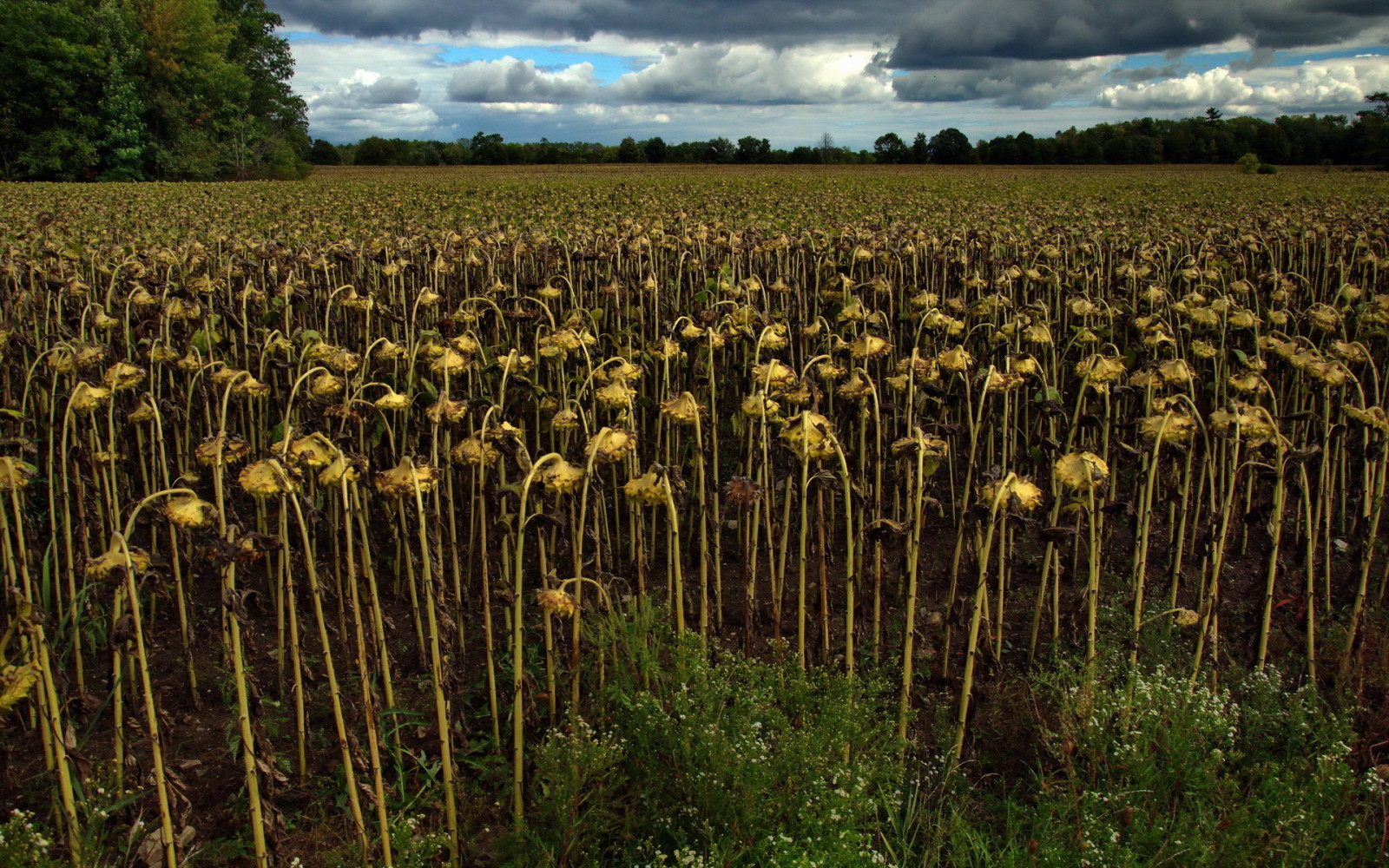 natura, paesaggio