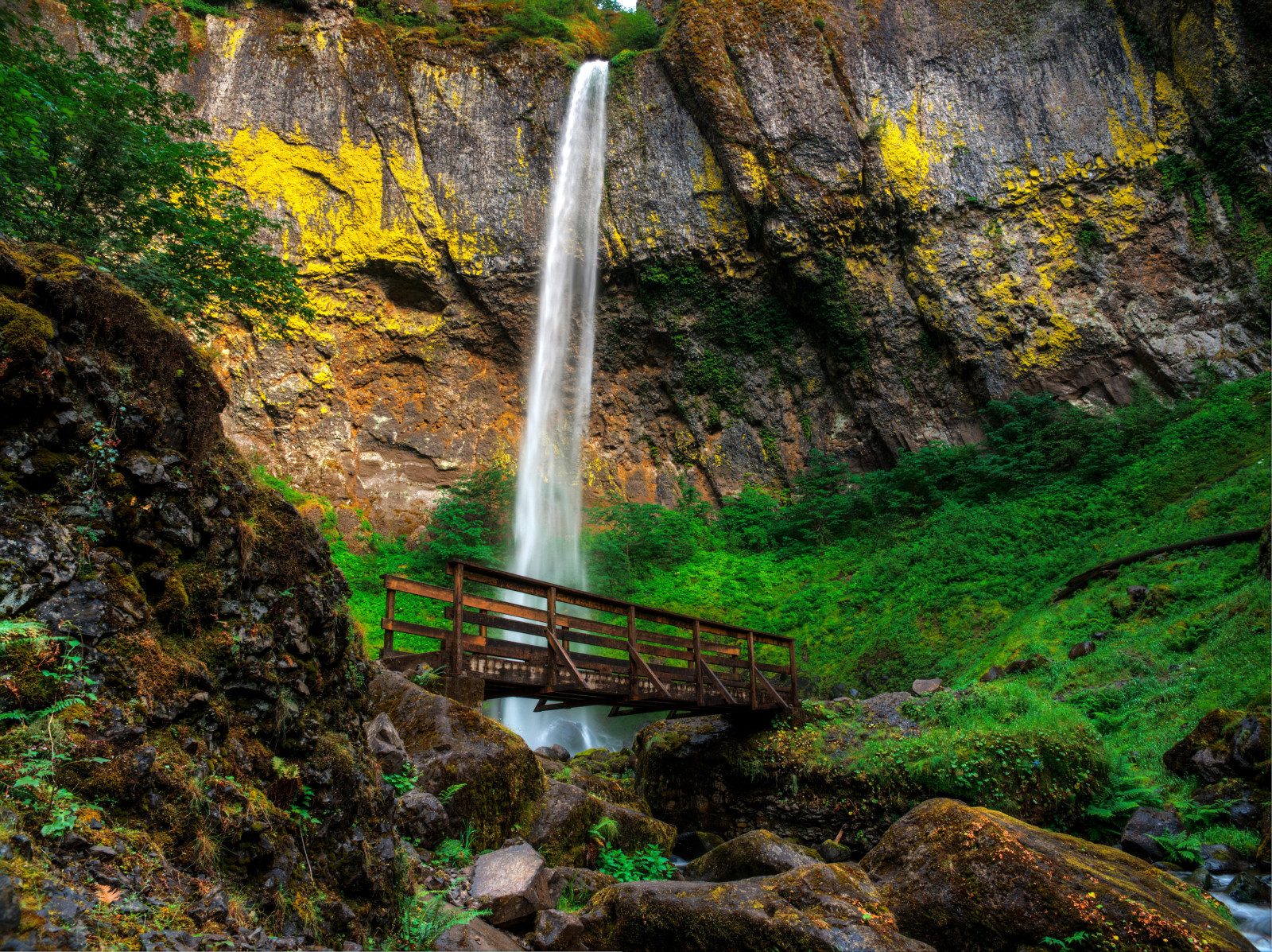 pietre, cascadă, Pod, Statele Unite ale Americii, cale, Oregon, stâncă, Elowah Falls