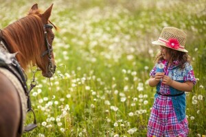 enfant, champ, fleurs, herbe, cheval, la nature