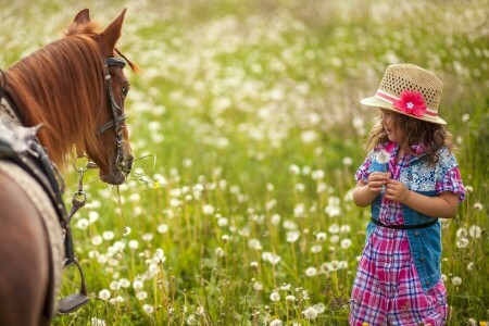 bambino, campo, fiori, erba, cavallo, natura