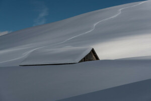 maison, la nature, neige, hiver