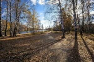 otoño, paisaje, naturaleza, río, oscuridad, apuntalar, arboles