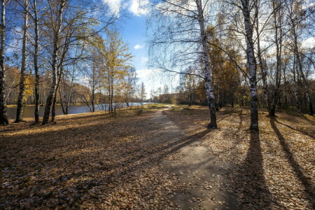 autumn, landscape, nature, river, shadows, shore, trees