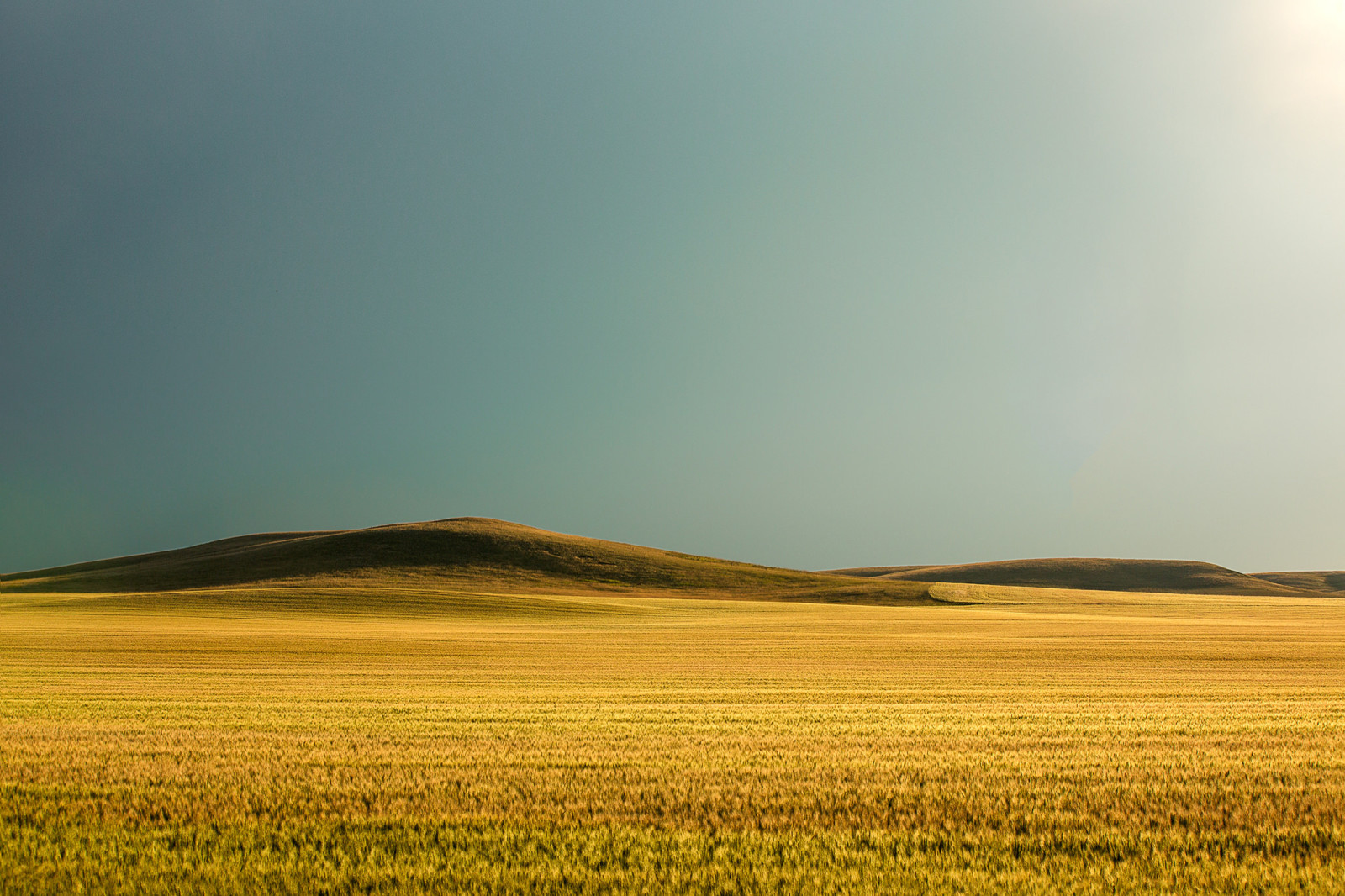 herbe, champ, collines, le soleil, ensoleillement