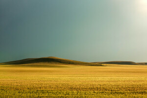 campo, Relva, colinas, brilho do sol, o sol