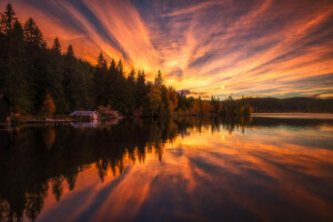 case, paesaggio, natura, riflessione, tramonto, il cielo, alberi, acqua