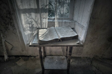 book, room, window