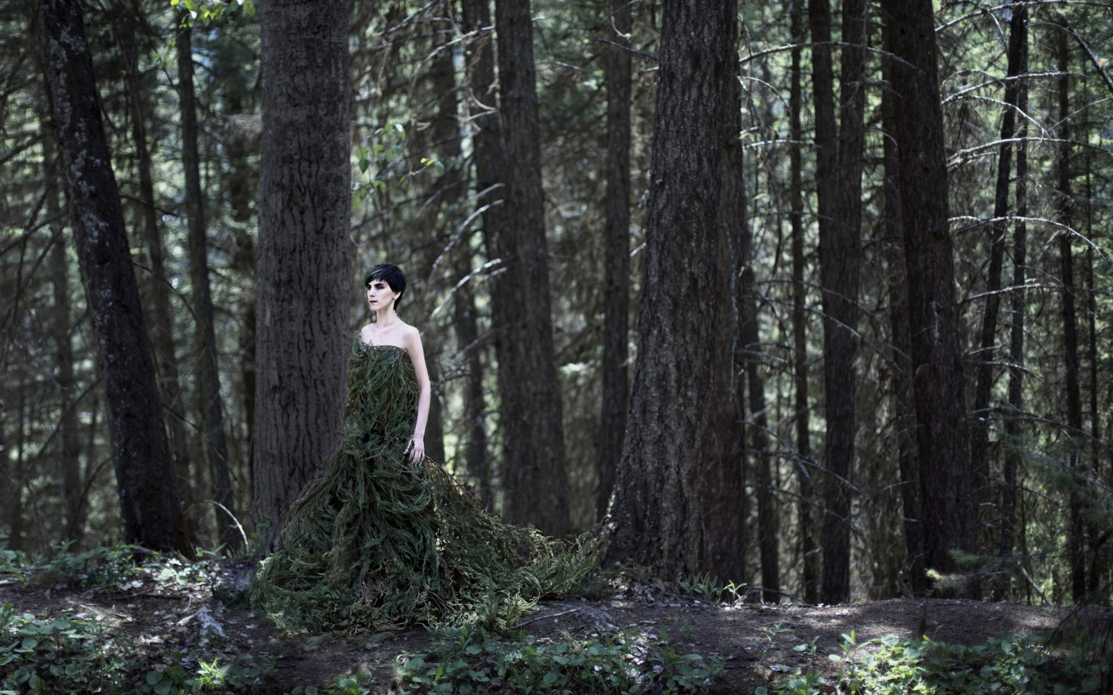 forest, branches, girl