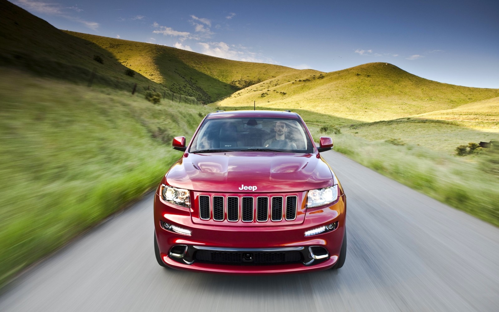 chien, rouge, lumières, collines, La hotte, Jeep, chauffeur, Le devant