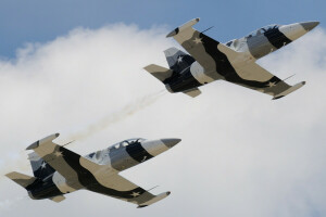 "Albatross", Aero L-39, Albatros, Kampsträning, flyg, planet