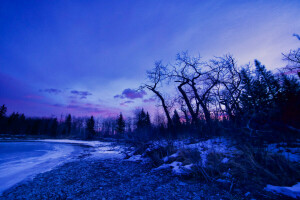 dawn, glow, lake, snow, trees, winter