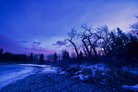 alba, splendore, lago, neve, alberi, inverno