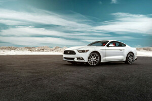 2015, voiture, Gué, muscle, Mustang, Oxford, blanc