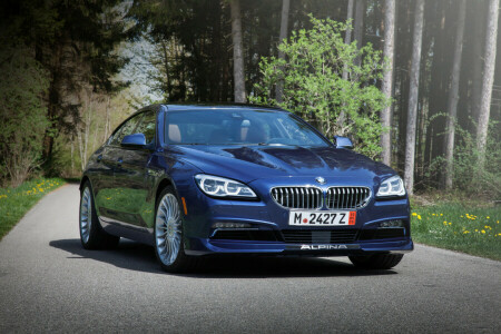 2015, ALPINA, BMW, F06, Гран Купе, US-спецификации, Полный привод