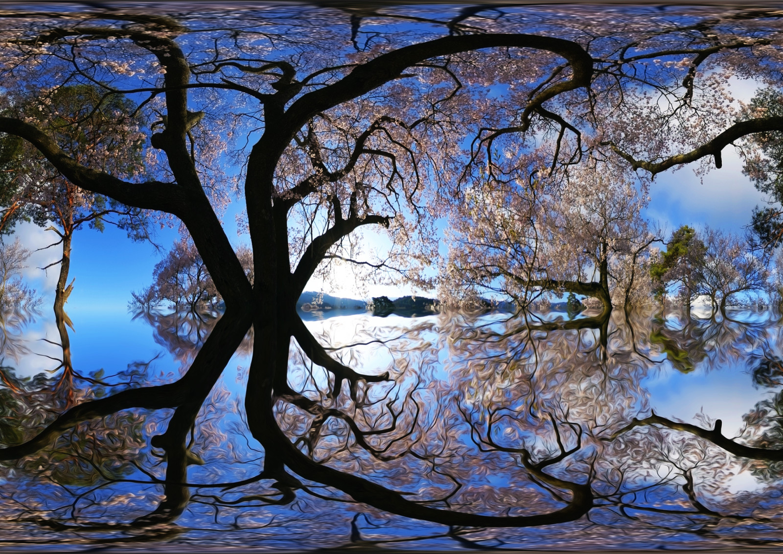 tree, reflection, treatment