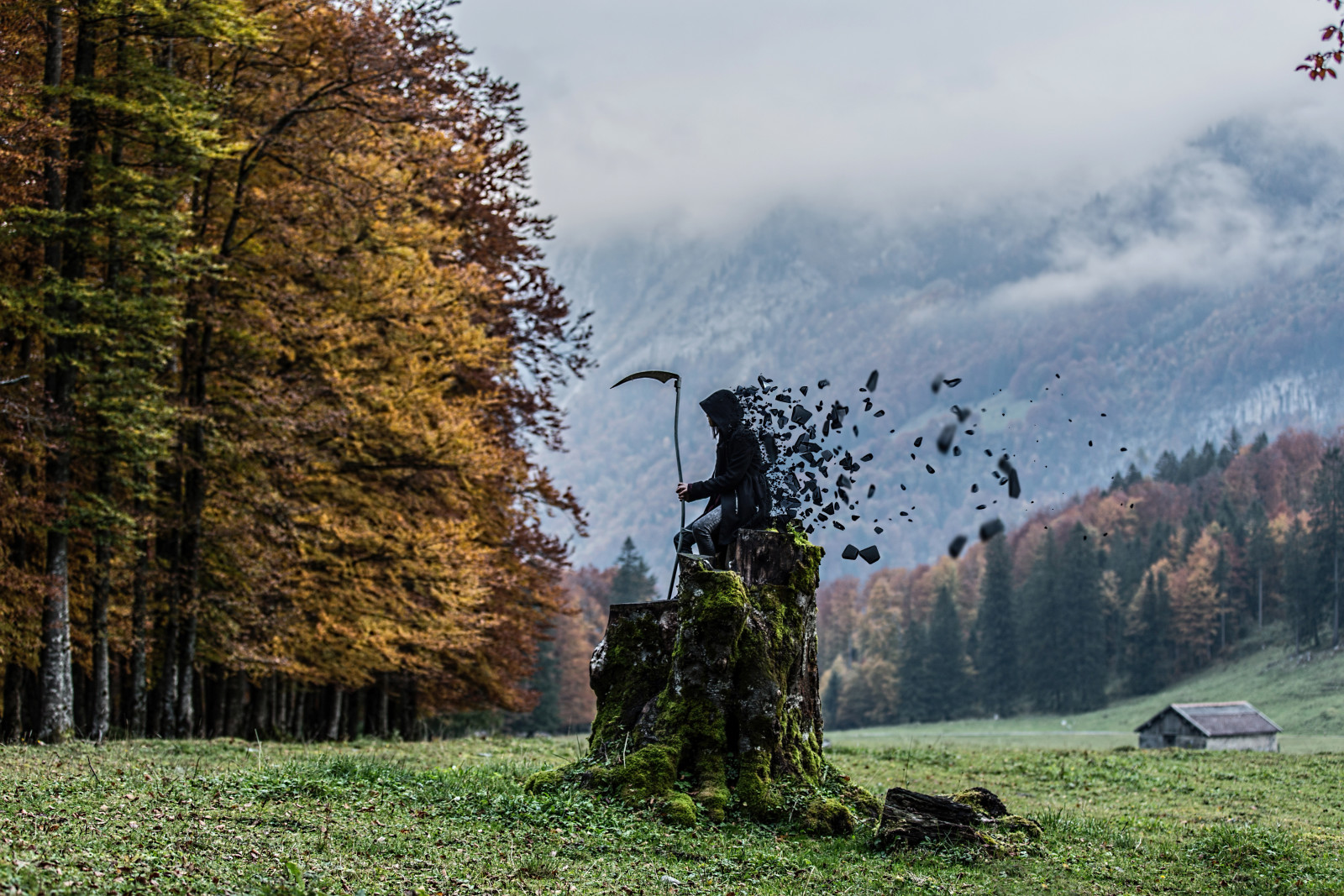 naturaleza, muerte, hora