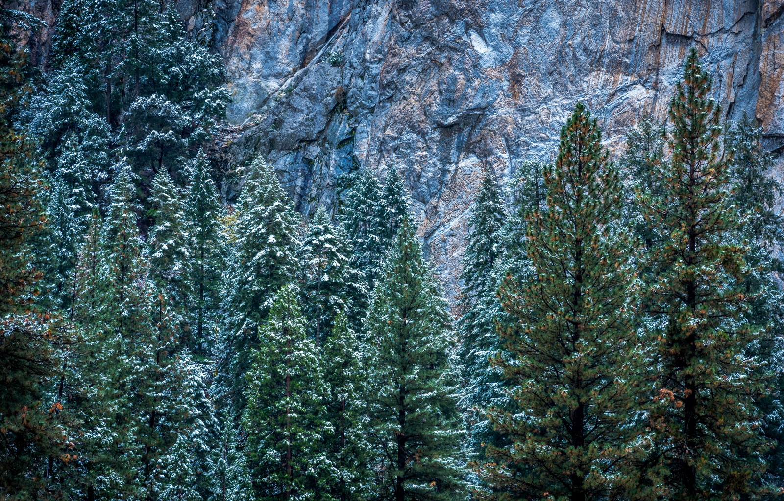 śnieg, zimowy, drzewa, USA, skały, CA, Yosemite, Park Narodowy Yosemite