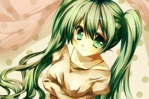 artă, fată, Hatsune Miku, jebura, zâmbet, VOCALOID