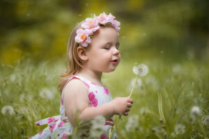 diente de león, niña, verano