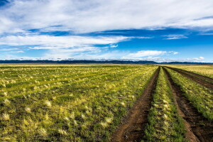 field, landscape, Mongolia, road