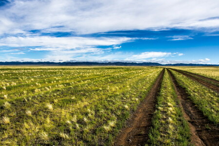 Feld, Landschaft, Mongolei, Straße