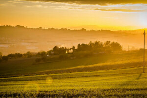 amanecer, campo, niebla, paisaje, foto, verano, el cielo