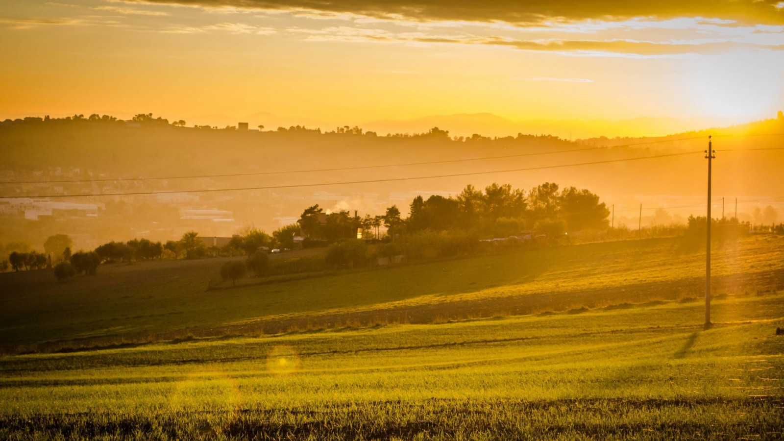 cerul, vară, peisaj, camp, zori de zi, fotografie, ceaţă