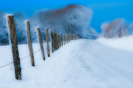 vei, snø, gjerdet, vinter