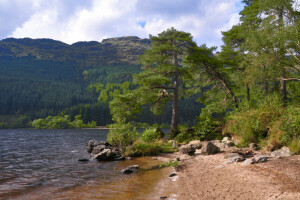 forest, lake, mountains, stones, the sky, trees