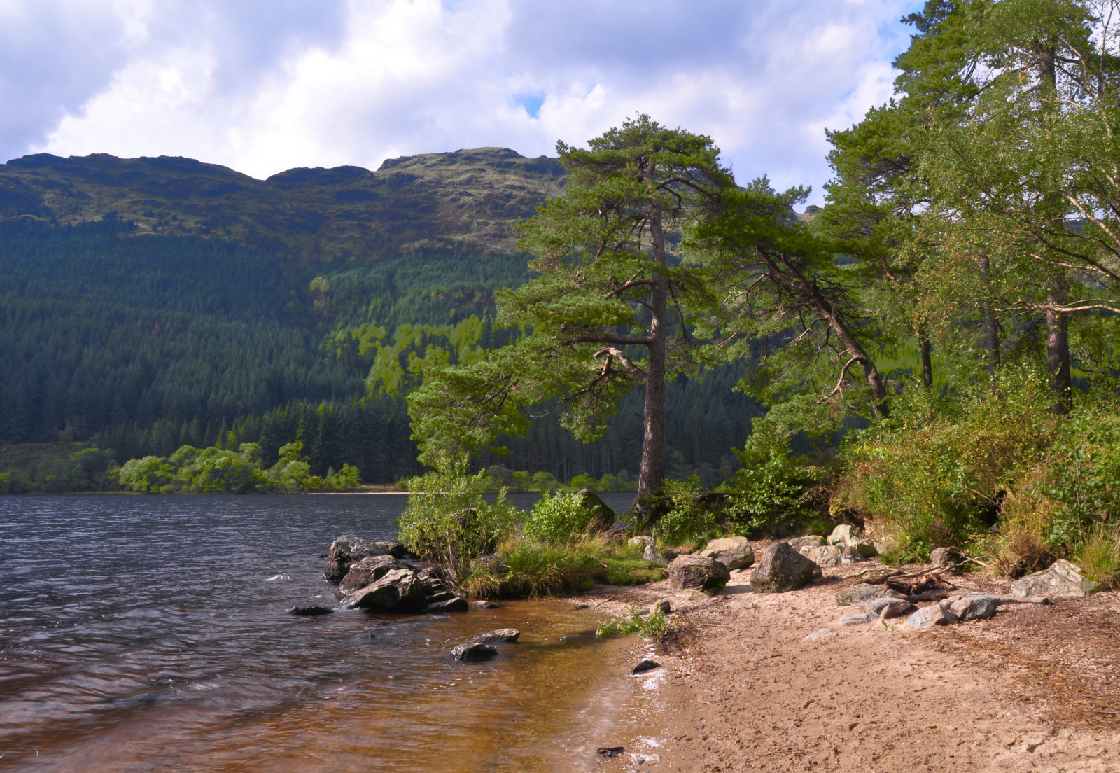 skog, himmelen, innsjø, steiner, trær, fjellene