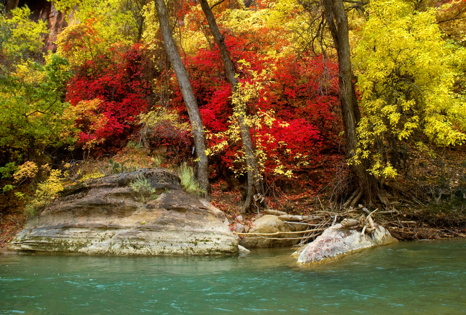 Herbst, Wald, Fluss, Ufer, Steine, Bäume