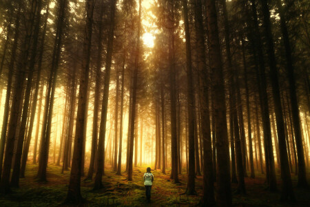 Wald, Behandlung